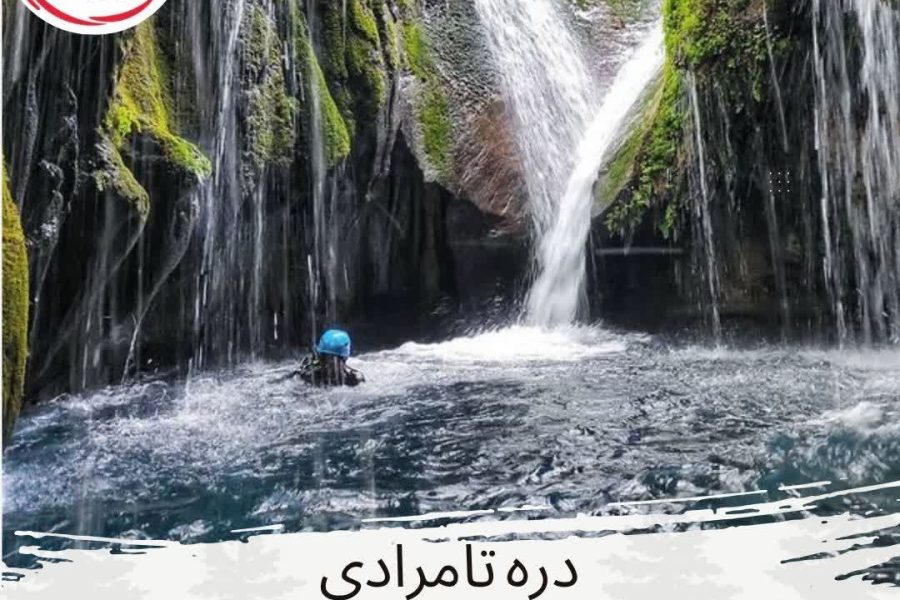 پیمایش فنی تامرادی