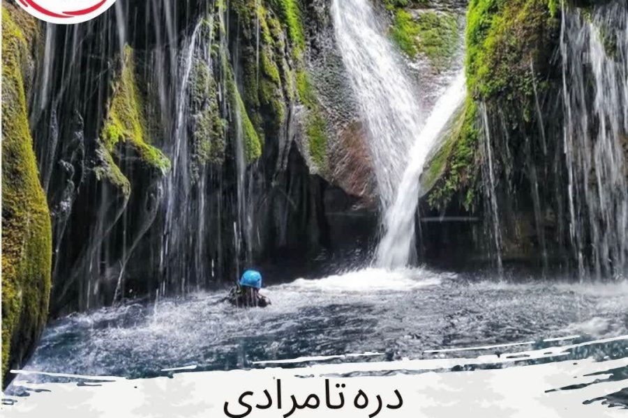 دره تامرادی